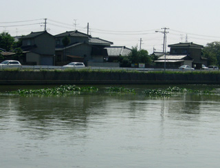 松浜と福島潟をつなぐ新井郷川 新潟 水と土の芸術祭から